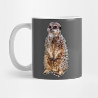 Meerkat on watch Mug